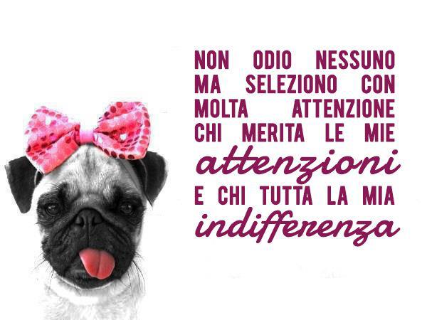 Immagine Divertente - 28/02/2013