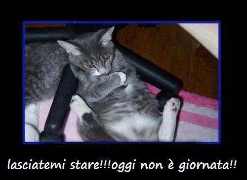 Immagine Divertente - 02/03/2013