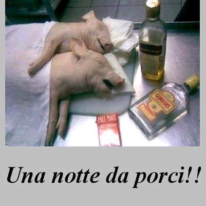 Immagine Divertente - 03/03/2013