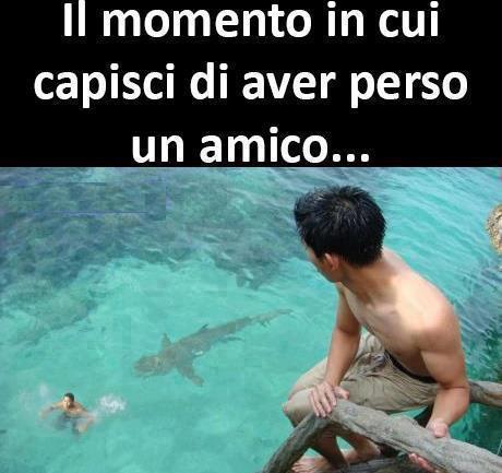 Immagine Divertente - 05/03/2013