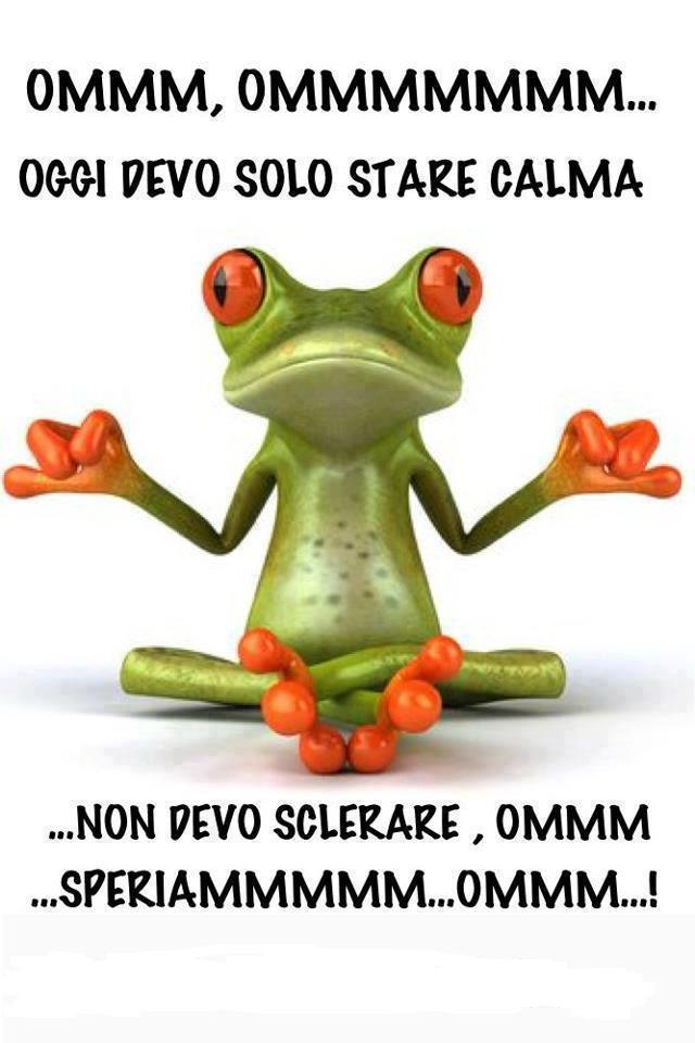 Immagine Divertente - 08/03/2013