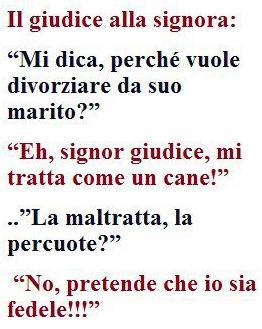 Immagine Divertente - 08/03/2013