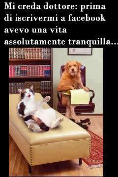 Immagine Divertente - 12/03/2013