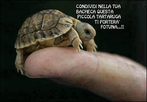 TE PORTO FORTUNA !! - 12/03/2013