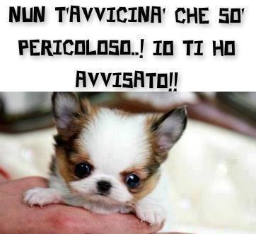 NUN CE PROVA' !! - 12/03/2013