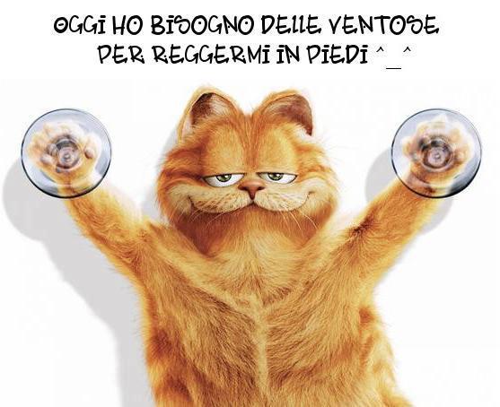 Immagine Divertente - 12/03/2013