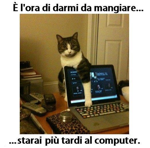 CHE VOLEMO FA' ?! - 13/03/2013