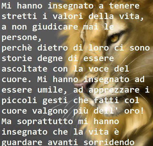 Immagine Divertente - 13/03/2013