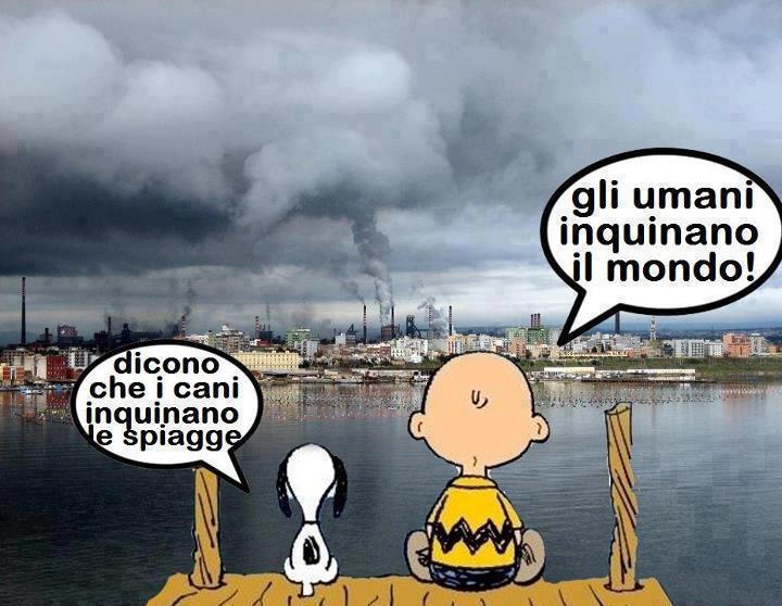 Immagine Divertente - 13/03/2013