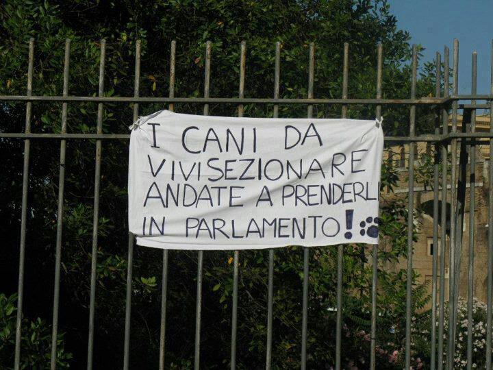 Immagine Divertente - 13/03/2013