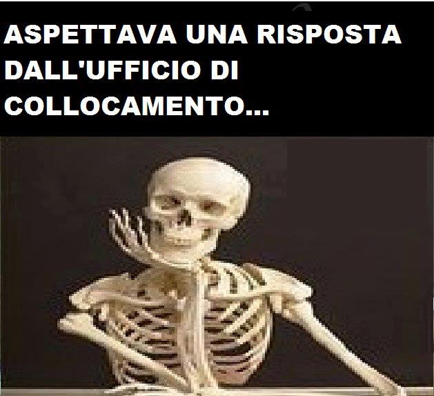 Immagine Divertente - 14/03/2013