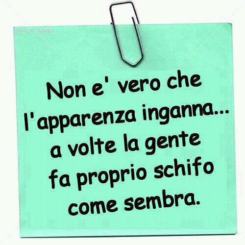 Immagine Divertente - 20/03/2013