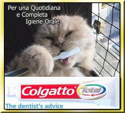 A OGNUNO ER SUO !! - 21/03/2013