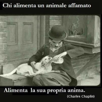 Immagine Divertente - 22/03/2013