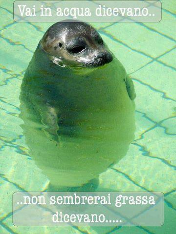 Immagine Divertente - 24/03/2013