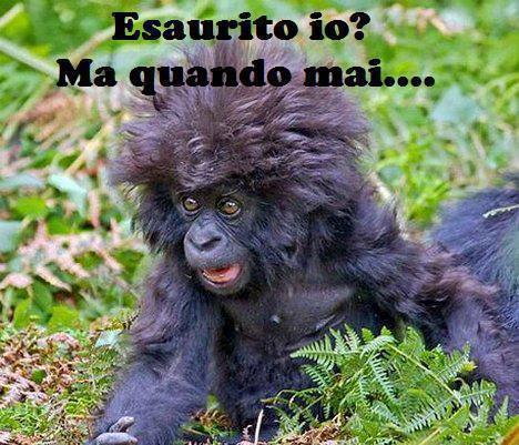 MA CHE STAI A DI' ?! - 25/03/2013