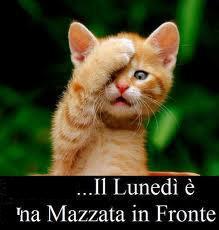 NUN CE LA POSSO FA' !! - 15/10/2012