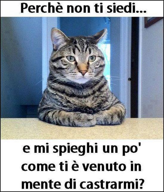 ME DEVI SPIEGA' !! - 27/03/2013