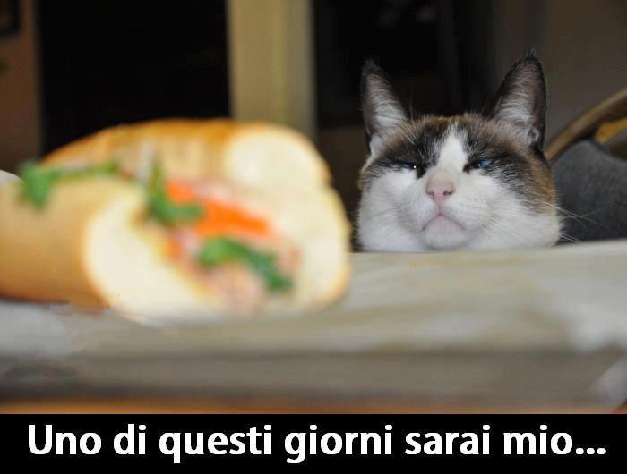 NUN HA SCAMPO !! - 28/03/2013