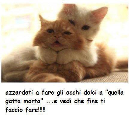 NUN CE PROVA' !! - 16/10/2012