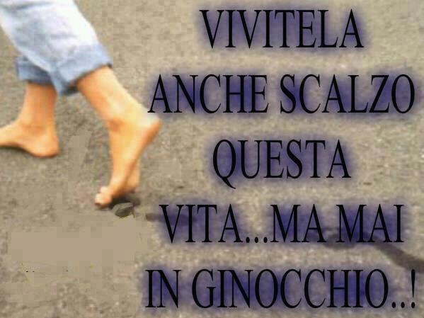 Immagine Divertente - 04/04/2013