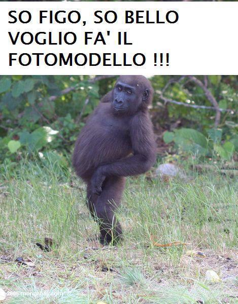 NUN VADO BENE ?! - 16/10/2012