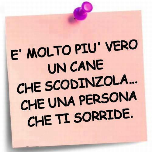 Immagine Divertente - 08/04/2013