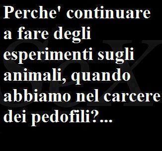 Immagine Divertente - 09/04/2013