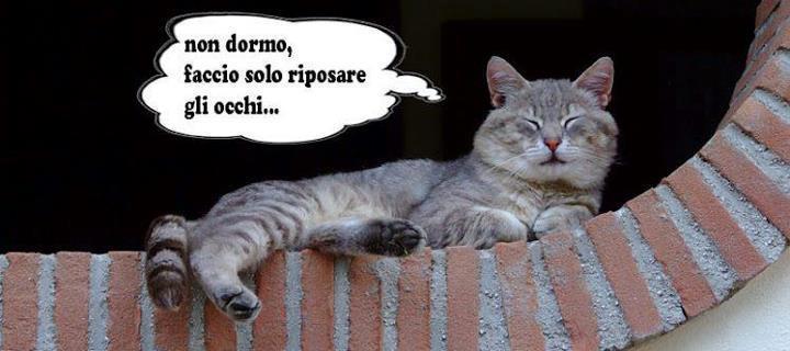 NUN STO A DORMI' !! - 16/10/2012