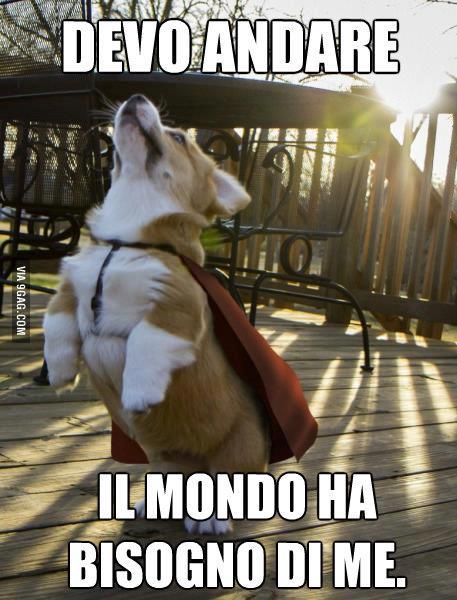 ME NE DEVO ANNA' !! - 10/04/2013