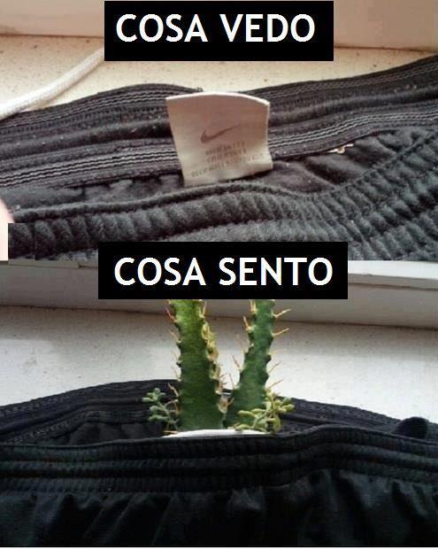 Immagine Divertente - 10/04/2013