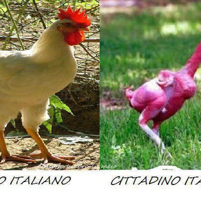 SEMO DIVERSI !! - 10/06/2012