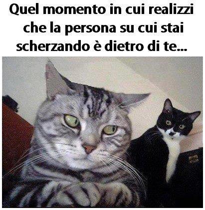 Immagine Divertente - 11/04/2013