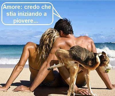 Immagine Divertente - 12/04/2013