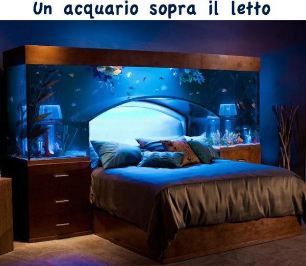 'O VOJO !! - 12/04/2013