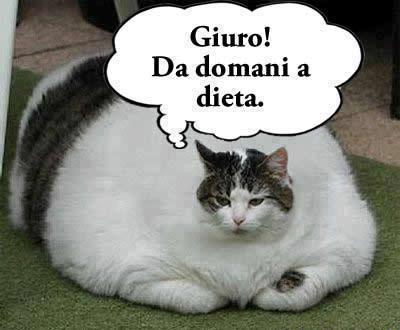 Immagine Divertente - 16/04/2013