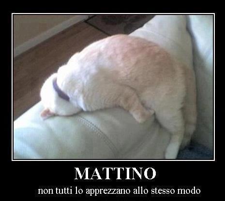 NUN SEMO TUTTI UGUALI !! - 16/04/2013