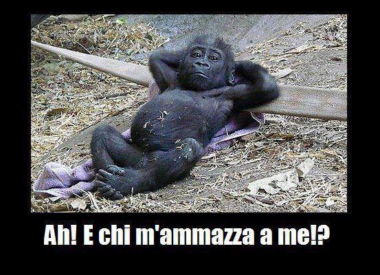 'STO 'NA FAVOLA !! - 18/04/2013