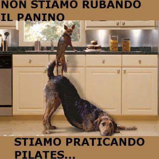 NUN E' COME SEMBRA !! - 18/04/2013