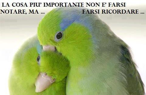 Immagine Divertente - 19/04/2013