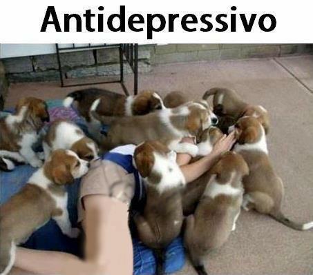 ER MEJO !! - 20/04/2013