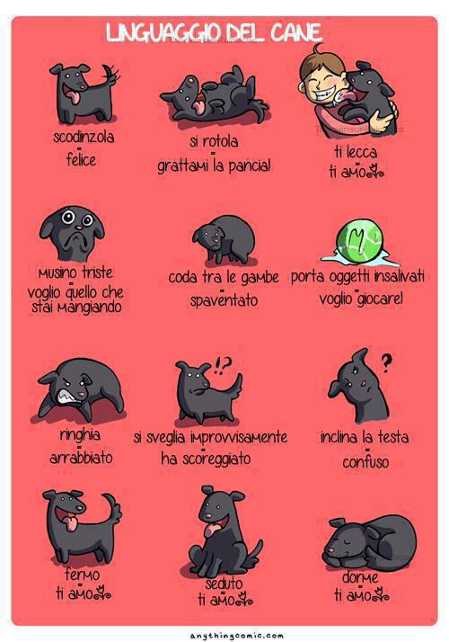 OGNUNO HA ER SUO !! - 21/04/2013