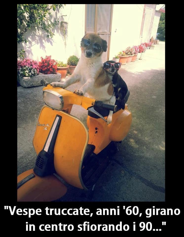 Immagine Divertente - 21/04/2013