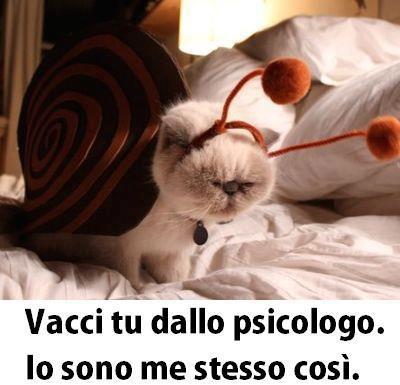 Immagine Divertente - 22/04/2013