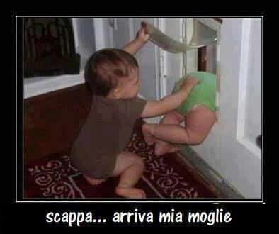 Immagine Divertente - 22/04/2013