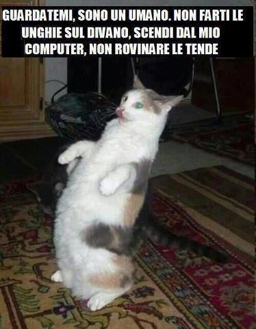 Immagine Divertente - 25/04/2013