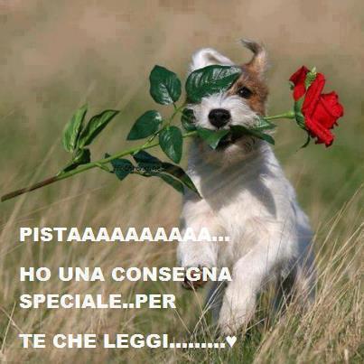 FATEME PASSA' !! - 29/04/2013