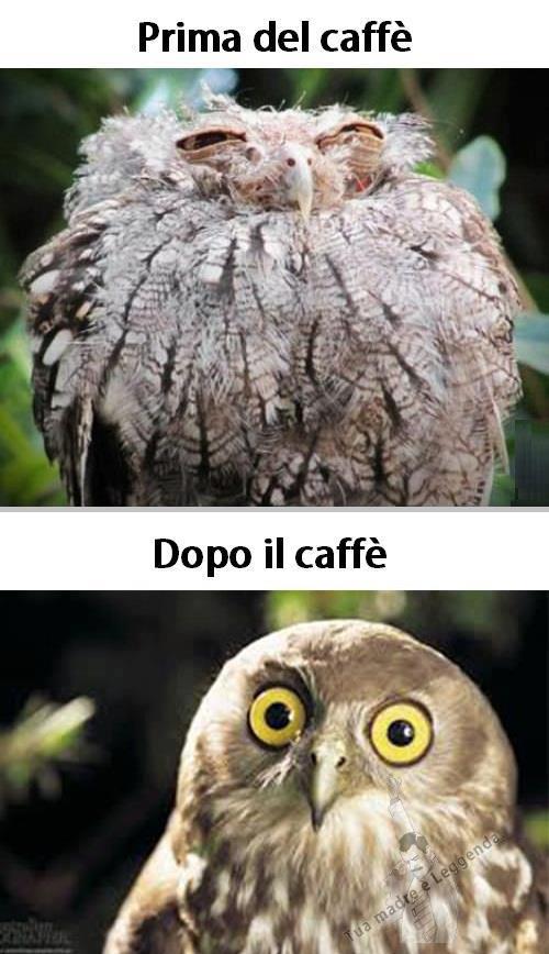 Immagine Divertente - 05/05/2013