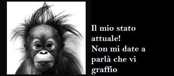 SE SEMO CAPITI ?! - 08/05/2013