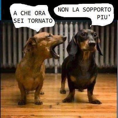 A OGNUNO ER SUO !! - 10/05/2013